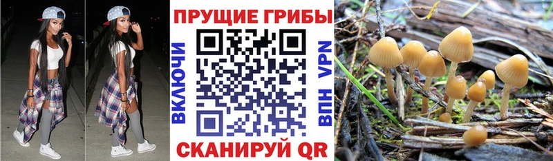 Псилоцибиновые грибы прущие грибы  Новочебоксарск 