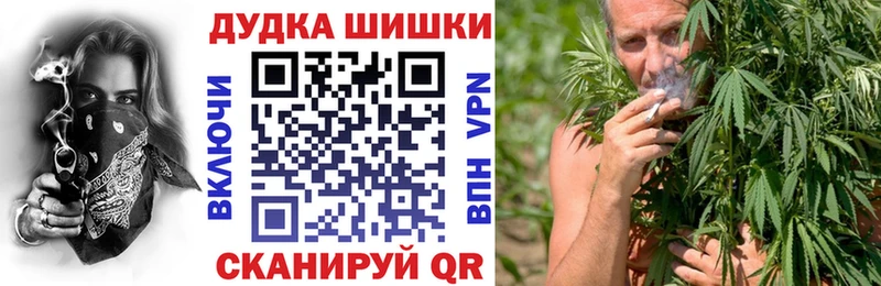где найти наркотики  Новочебоксарск  Бошки Шишки Amnesia 